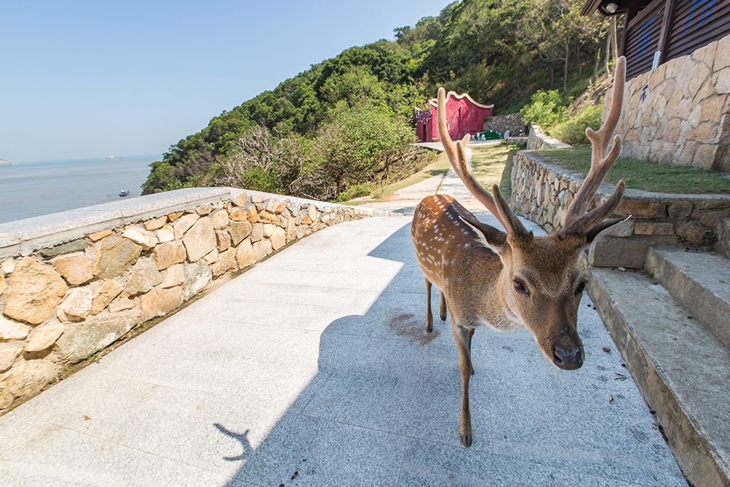 大坵島的生態步道