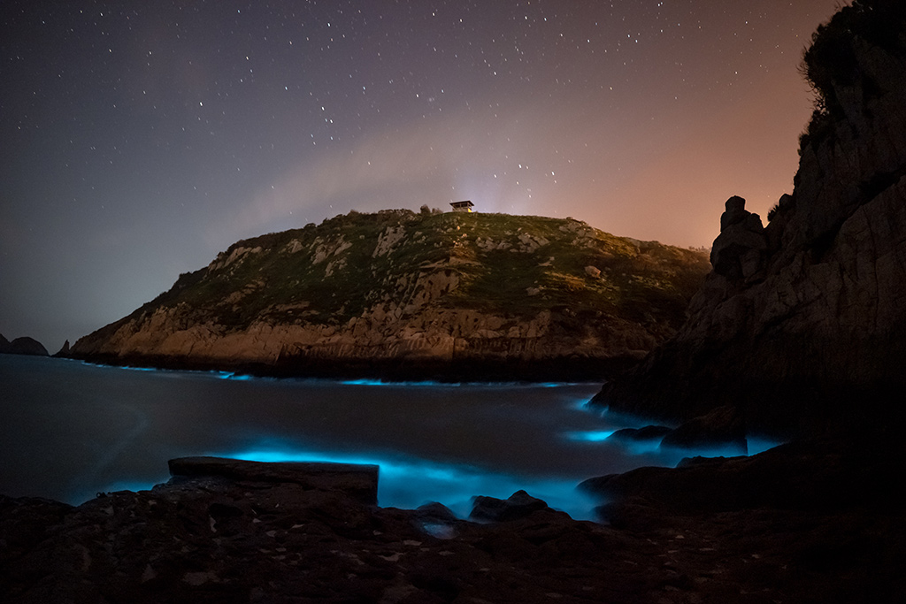大埔聚落附近沙灘的藍眼淚